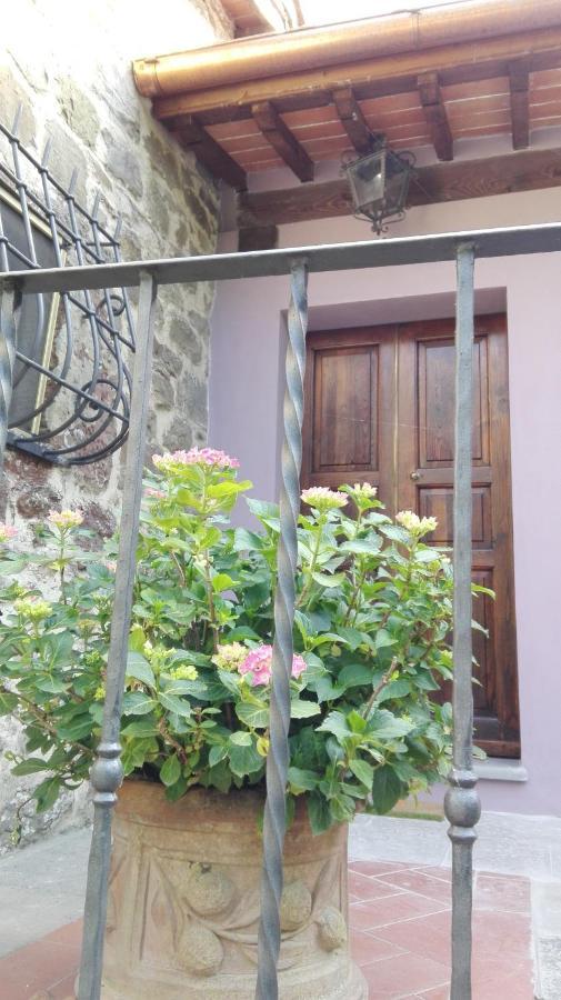 Casina Di Vicchio Apartman Dicomano Kültér fotó