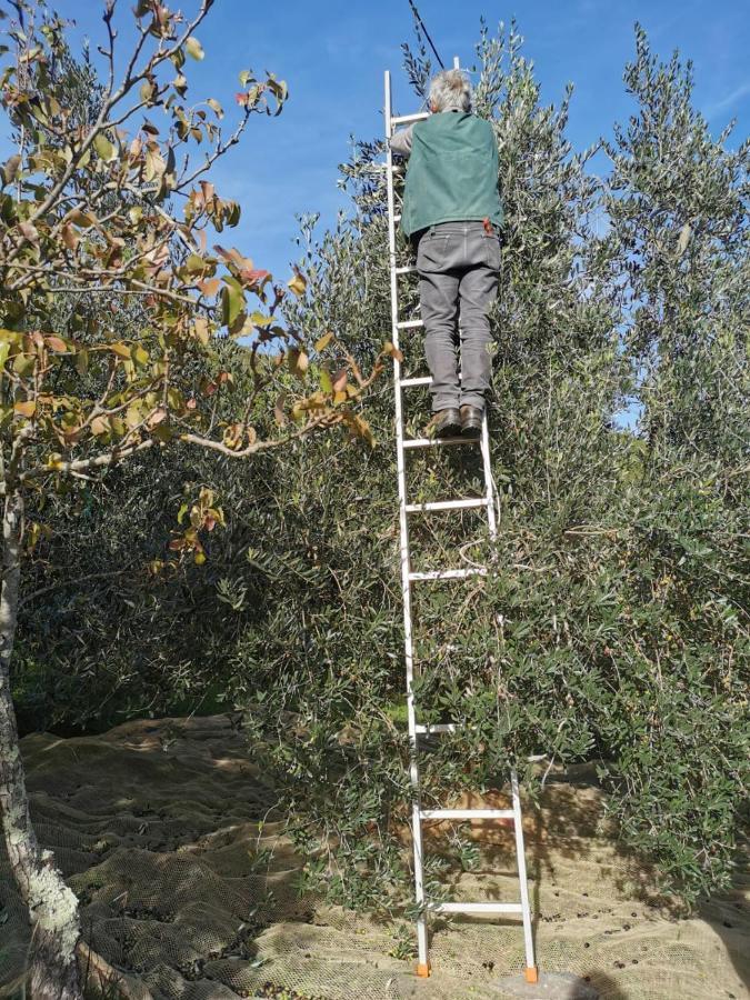 Casina Di Vicchio Apartman Dicomano Kültér fotó